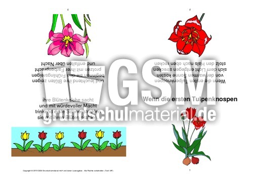 Faltbuch-Wenn die ersten Tulpenknospen.pdf